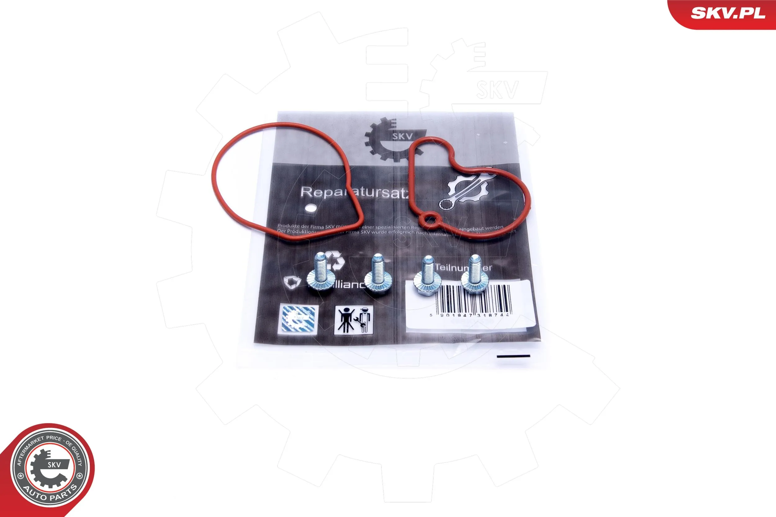 Repair Set, vacuum pump (braking system)
